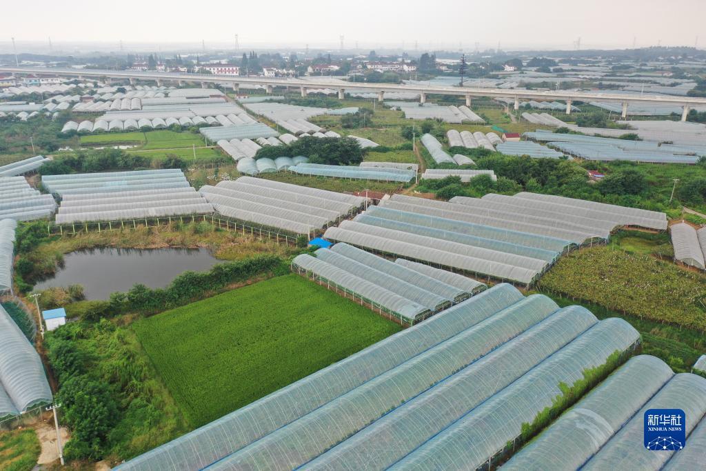 天狮官方网站卓越卡登录